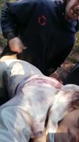 Glitterbdsm's Wild College Blonde in Doggystyle Outdoor Rough Sex