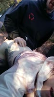 Glitterbdsm's Wild College Blonde in Doggystyle Outdoor Rough Sex