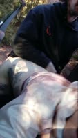 Glitterbdsm's Wild College Blonde in Doggystyle Outdoor Rough Sex