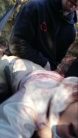 Glitterbdsm's Wild College Blonde in Doggystyle Outdoor Rough Sex