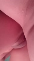 MayteJG's Colombiana Cutie in Amateur Misionero Action