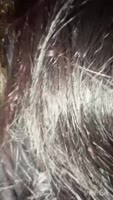 Carbaleon96's Public Alleyway Surprise: Amateur Latina Blowjob & Cumshot