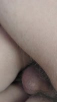 TheWhiskersFamily - The Whiskers Family's Steamy Sideways Showcase