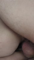 TheWhiskersFamily - The Whiskers Family's Steamy Sideways Showcase