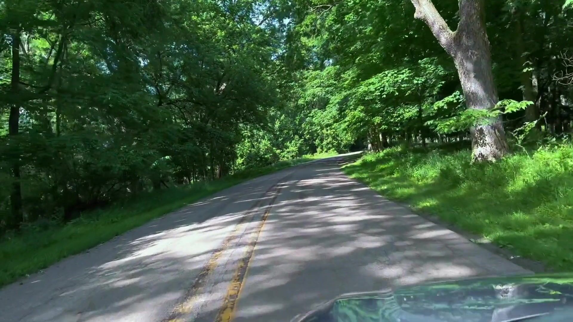 Gave her a Creampie in Nature (Almost Caught)