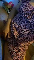 HotGamerNxtDoor - My Stepfantasy: Hot Latina's Big Tit Face Sitting Seduction