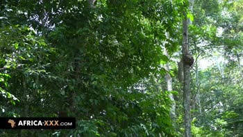 Wild Trio in Africa: Big Tits, Big Ass, and Pleasure