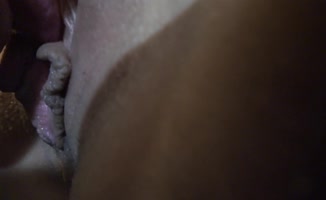 Macy Meadows' POV Cock Sucking Session