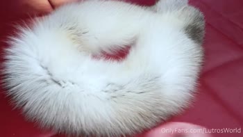 Lucky Lutro's Furry POV Blowjob Delight