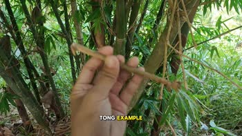 TheGreatDylan's Jakol Pinoy: KANTUTAN Secrets Uncovered