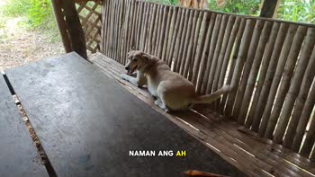 TheGreatDylan's Jakol Pinoy: KANTUTAN Secrets Uncovered