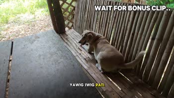 TheGreatDylan's Jakol Pinoy: KANTUTAN Secrets Uncovered
