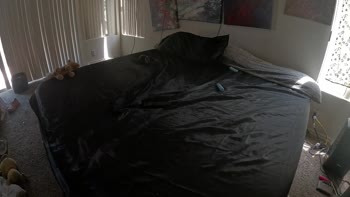 TuesTwo's Shaved Ebony Bliss: POV 60FPS Shaving Frenzy