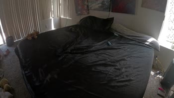 TuesTwo's Shaved Ebony Bliss: POV 60FPS Shaving Frenzy