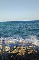 A Kyteler's Beachside Orgasm