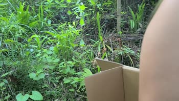 StacyHSSM - Stacy's Jungle Adventure: Pinay's Wild Encounter