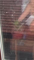 RozaPerezz's Sunny Days of Big Ass Doggy Delight