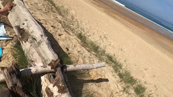 Stranger's Surprise Beach Fling: Juicy July's Public Desire
