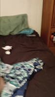 Daddysnaughtybabygirl's Sizzling BBW Anal Affair