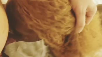 Whzyrddy69's Throat-Tingling Interracial POV Blowjob