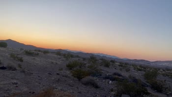 Jamie Stone: Unleashing Wildside in the Desert