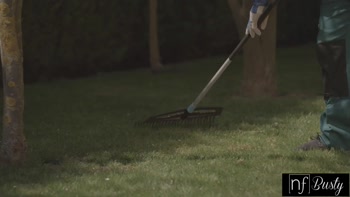 Simon Kitty's European Charm: A Lawn Keeper's Dream Assignment