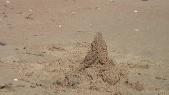 Agnes' Sun-Kissed Sensuality: Beachside Bareness