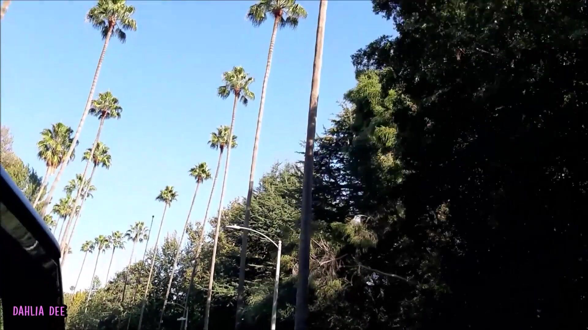 California Dreamin' - Dahlia Dee Gets Fucked in Hollywood!